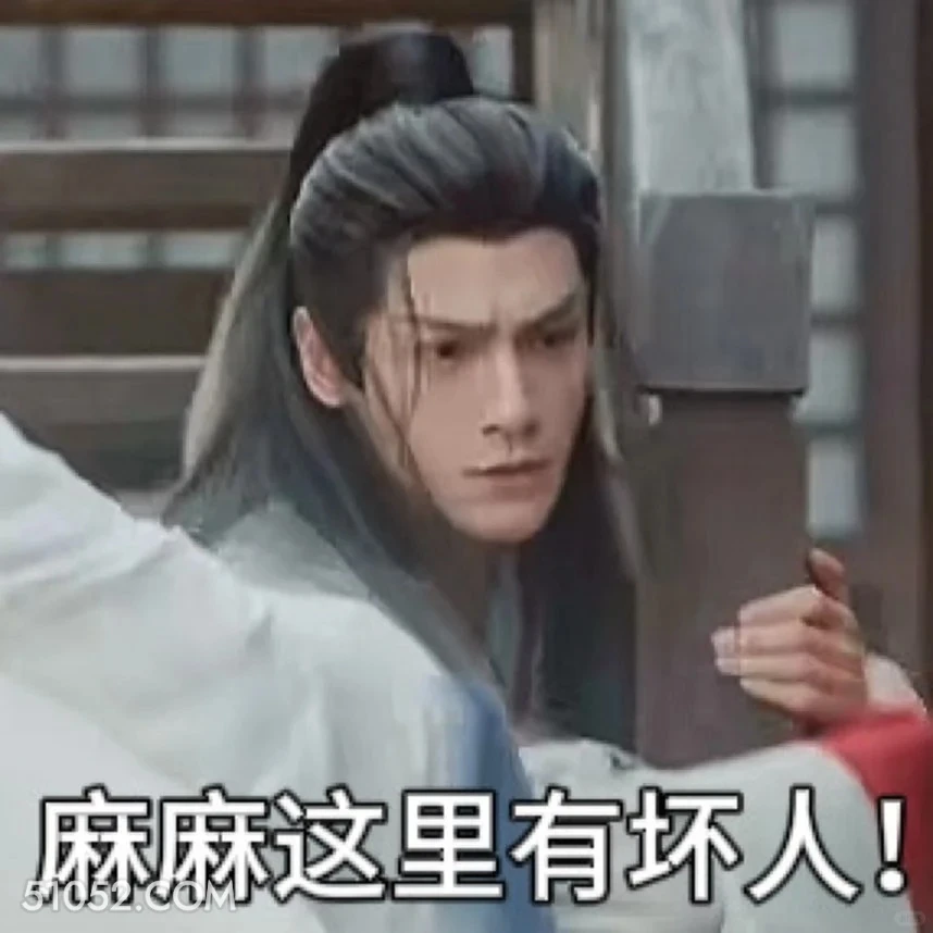 妈妈这里有坏人 水龙吟 影视剧 罗云熙 搞笑表情