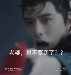 老婆，真不要我了？ 水龙吟 影视剧 罗云熙 搞笑表情