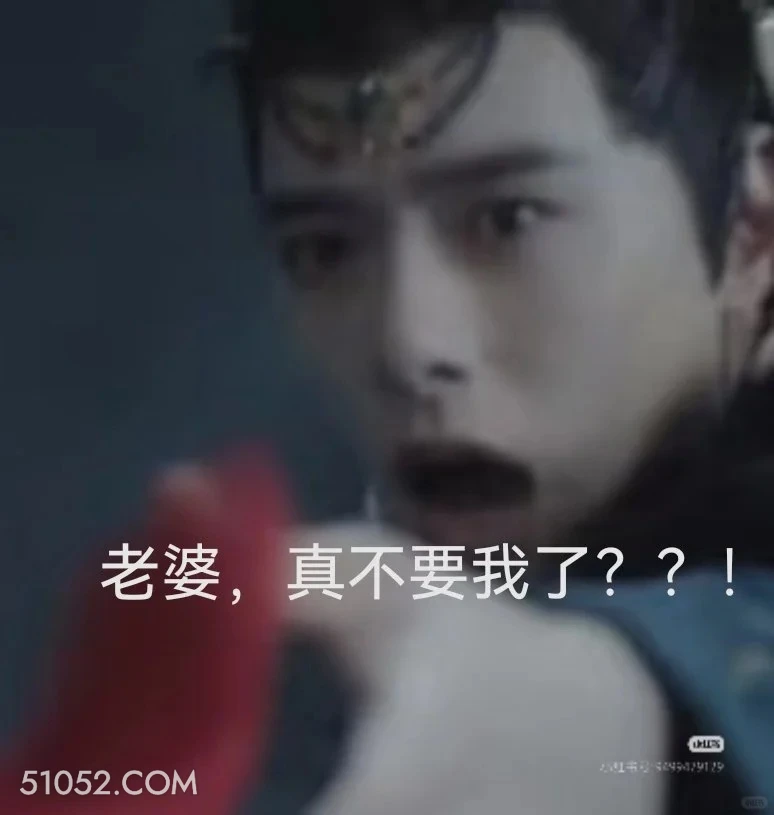 老婆，真不要我了？ 水龙吟 影视剧 罗云熙 搞笑表情