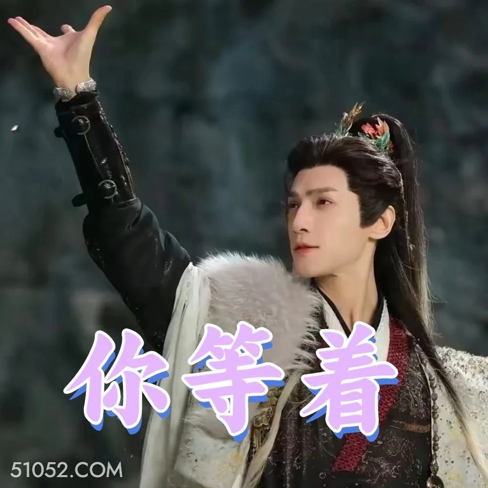 你等着 水龙吟 影视剧 罗云熙 搞笑表情