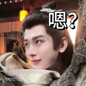 嗯？ 长安二十四计 影视剧 成毅 刘奕君 搞笑表情