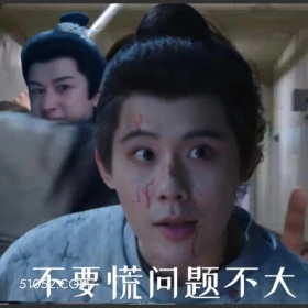 不要慌 问题不大 长安二十四计 影视剧 成毅 刘奕君 搞笑表情