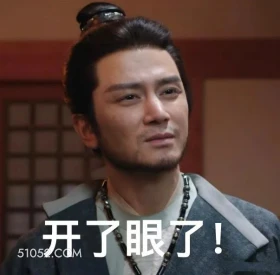 开了眼了 长安二十四计 影视剧 成毅 刘奕君 搞笑表情