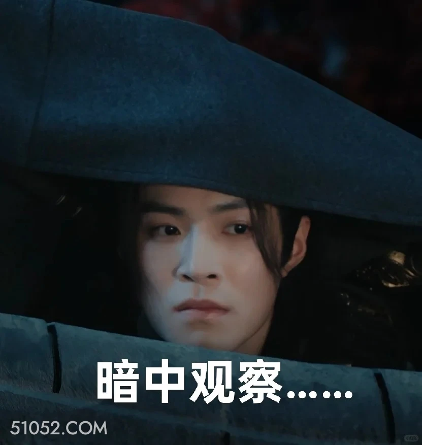 暗中观察 水龙吟 影视剧 罗云熙 搞笑表情