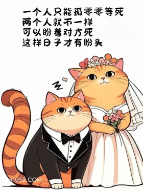 一个人只能孤独等死，两个人可以盼着对方死 猫猫 结婚 搞笑文案
