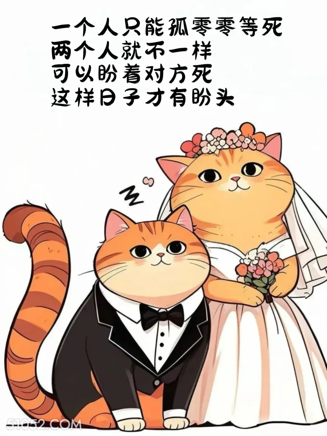 一个人只能孤独等死，两个人可以盼着对方死 猫猫 结婚 搞笑文案