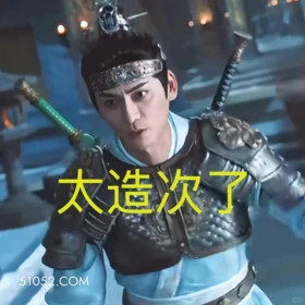 太造次了 水龙吟 影视剧 罗云熙 搞笑表情