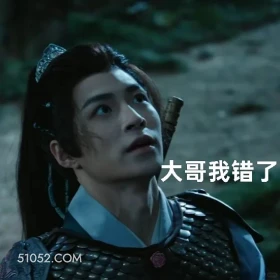 大哥我错了 水龙吟 影视剧 罗云熙 搞笑表情