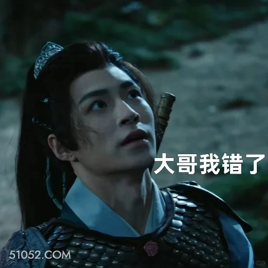 大哥我错了 水龙吟 影视剧 罗云熙 搞笑表情