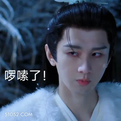 啰嗦了 长安二十四计 影视剧 成毅 刘奕君 搞笑表情