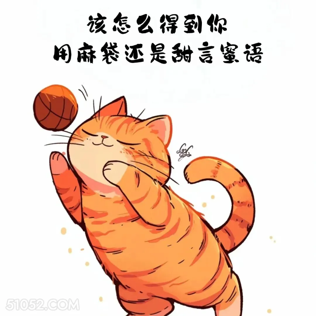 该怎么得到你，麻袋还是甜言蜜语 猫猫 撩汉 情绪价值 搞笑文案