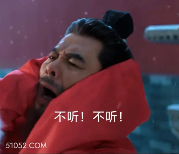 不听不听 长安二十四计 影视剧 成毅 刘奕君 搞笑表情