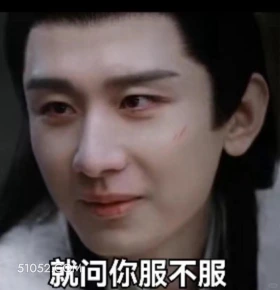 就问你服不服 长安二十四计 影视剧 成毅 刘奕君 搞笑表情