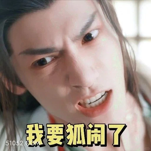 我要胡闹了 水龙吟 影视剧 罗云熙 搞笑表情