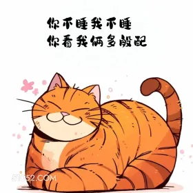 你不睡我不睡，你看我俩多般配 猫猫 撩汉 情绪价值 搞笑文案