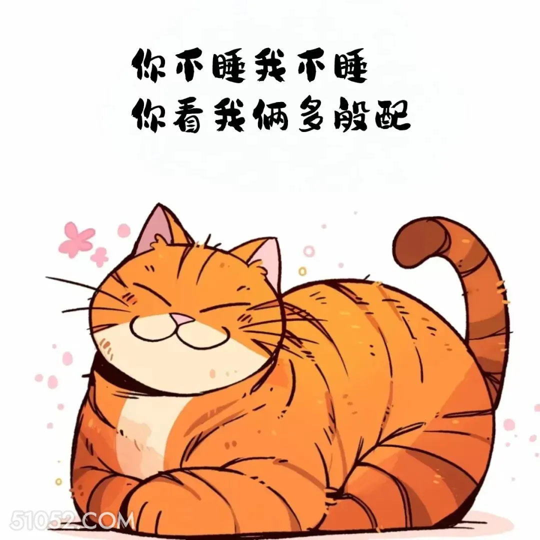 你不睡我不睡，你看我俩多般配 猫猫 撩汉 情绪价值 搞笑文案