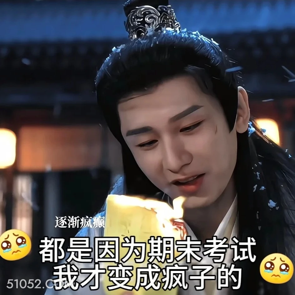 都是因为期末考试我才变成疯子 长安二十四计 影视剧 成毅 刘奕君 搞笑表情