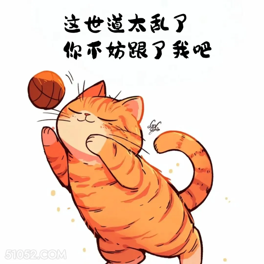 世道太乱了，不妨跟了我吧 猫猫 撩汉 情绪价值 搞笑文案