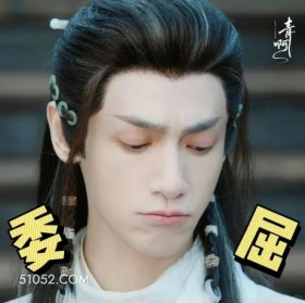 委屈 水龙吟 影视剧 罗云熙 搞笑表情