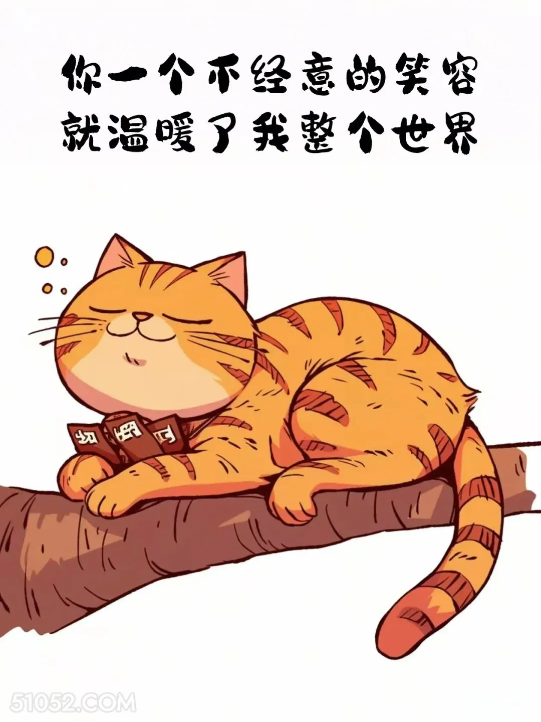 你不经意的笑容温暖了我整个世界 猫猫 情侣日常 道歉文案 嘴甜文案