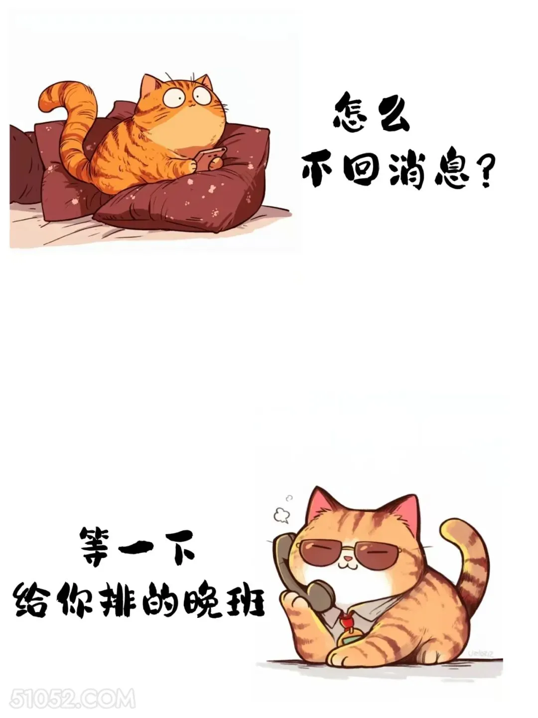 怎么不回消息。给你排的晚班 猫猫 已读乱回 搞笑文案