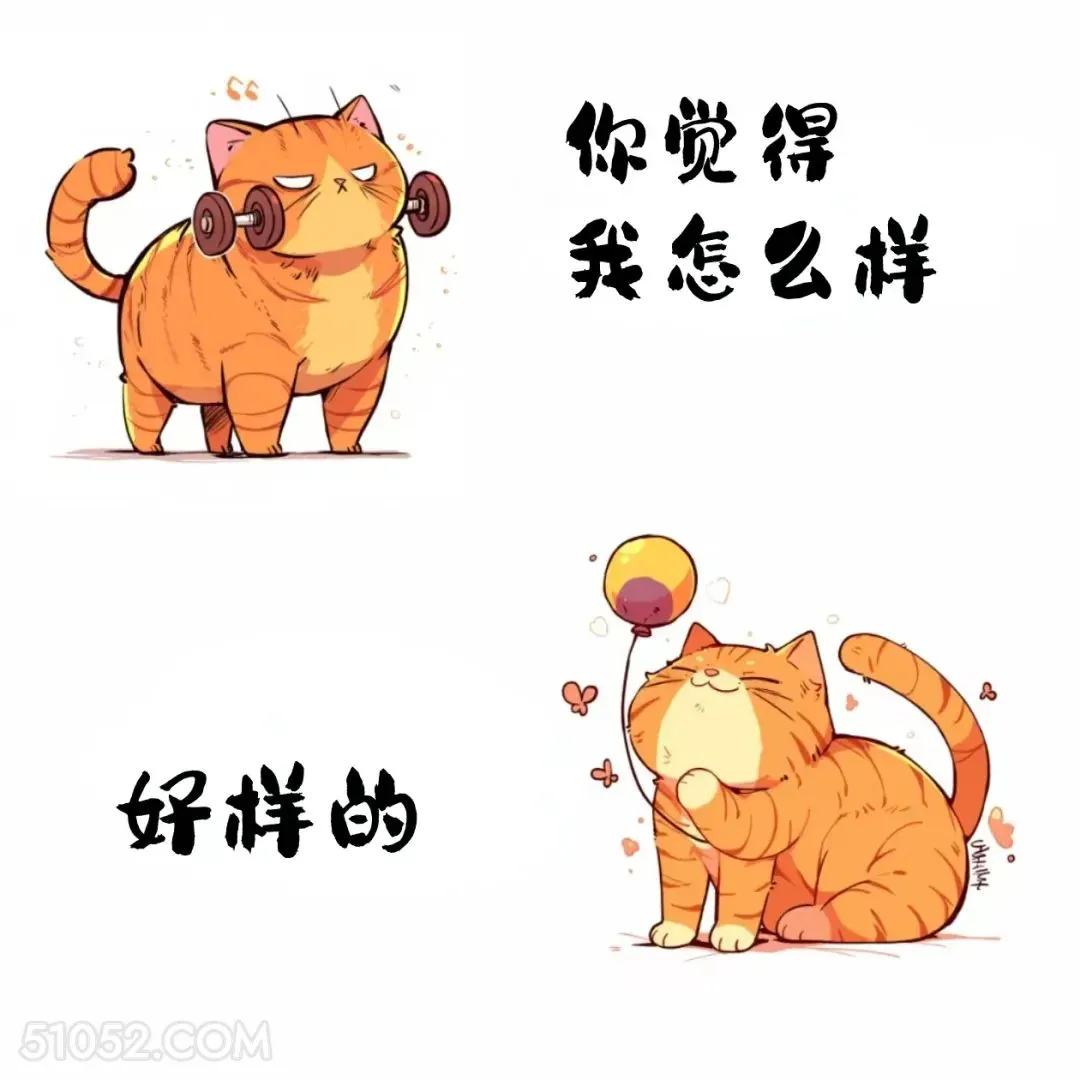 你觉得我怎么样？好样的 猫猫 已读乱回 笑死了 搞笑文案
