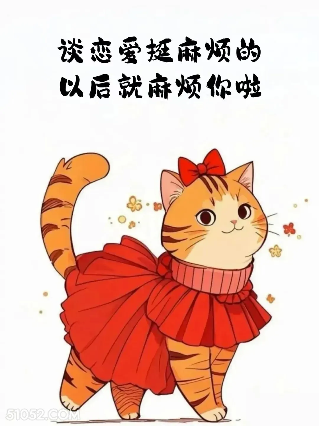 谈恋爱挺麻烦的，以后酒麻烦你了 猫猫 撩汉 情侣日常