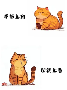 已读乱回,能把人笑死 猫猫 已读乱回 搞笑文案