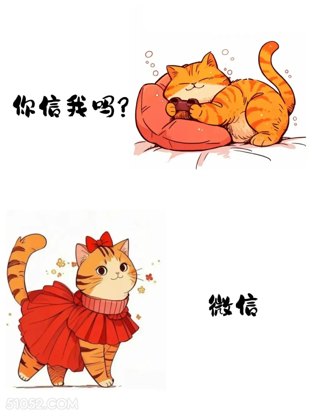 你信我吗？微信 猫猫 已读乱回 搞笑文案