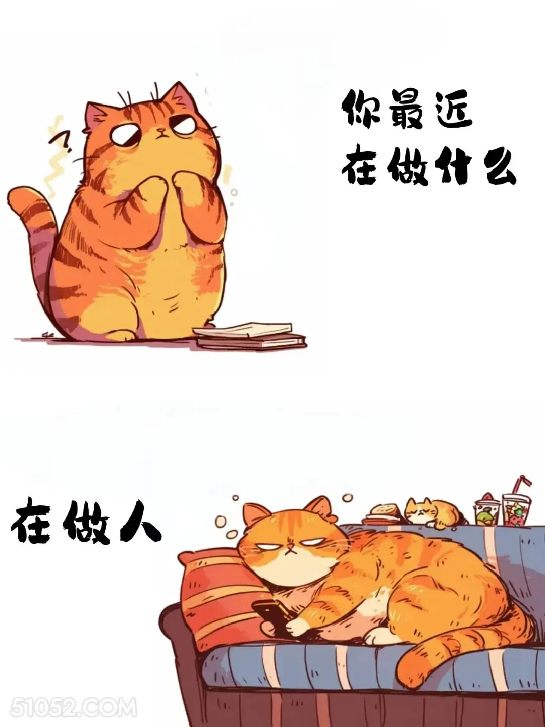 你最近在做什么？在做人 猫猫 已读乱回 笑死了 搞笑文案