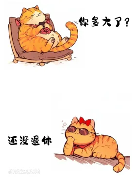 你多大了？还没退休 猫猫 已读乱回 搞笑文案