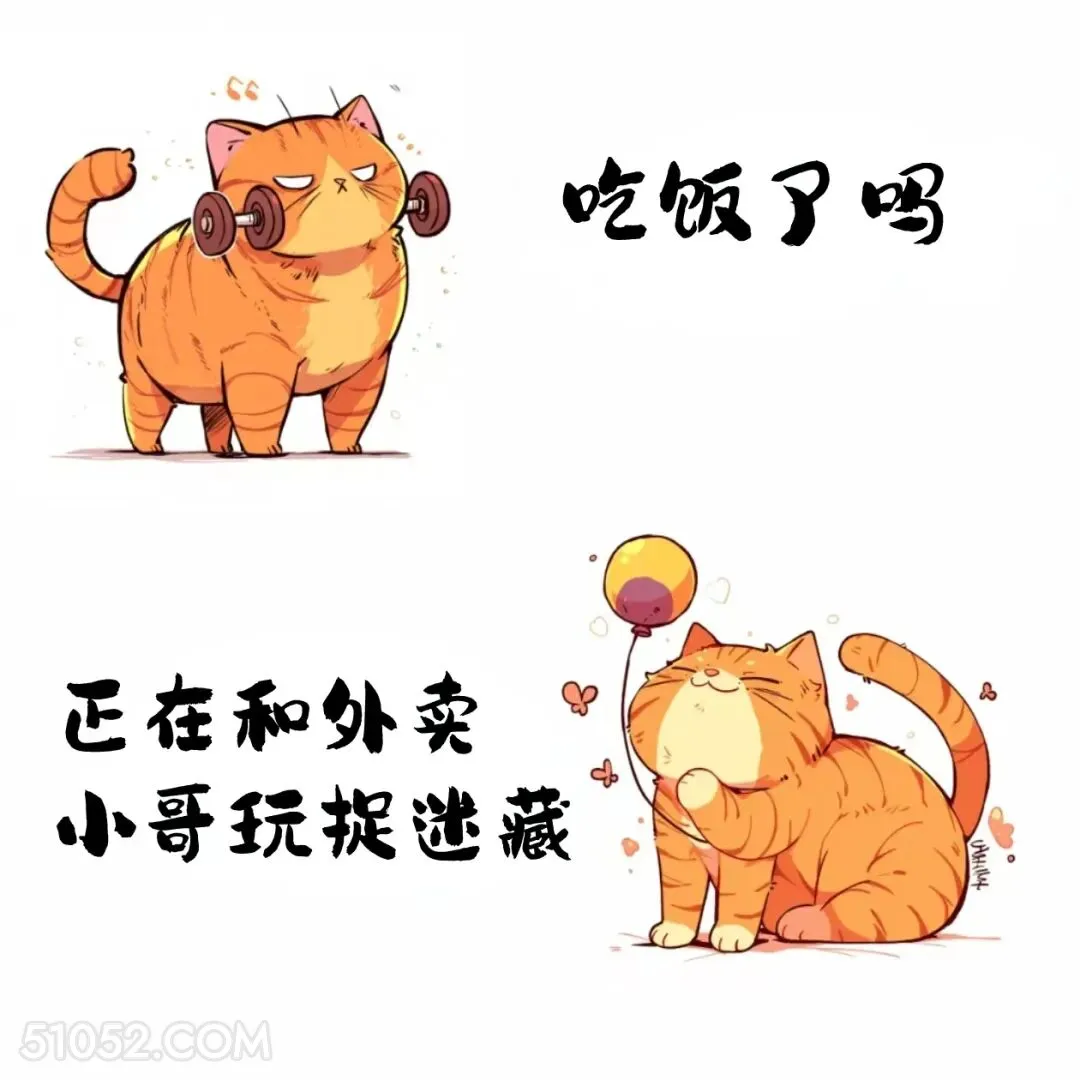 吃饭了吗？正在和外卖小哥玩捉迷藏 猫猫 已读乱回 笑死了 搞笑文案