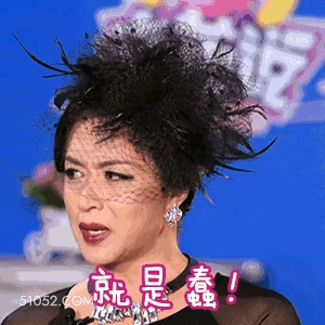 就是蠢 明星表情包 脱口秀主持人 金星 搞笑表情
