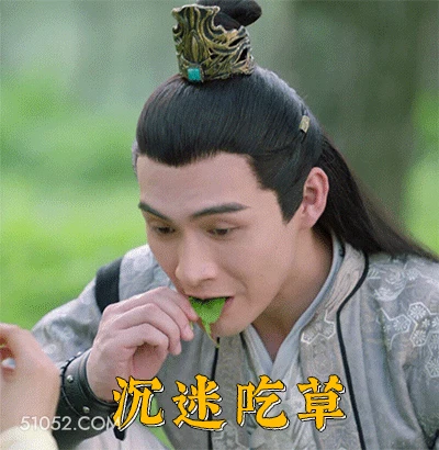 沉迷吃草 明星表情包 演员 张彬彬 搞笑表情