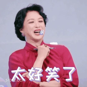 太好笑了 明星表情包 脱口秀主持人 金星 搞笑表情