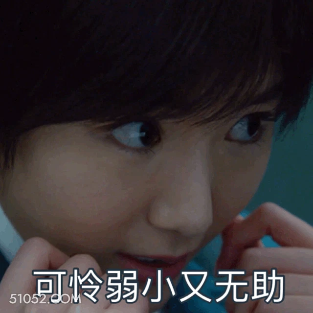 可怜弱小又无助 明星表情包 毛晓彤 演员 搞笑表情